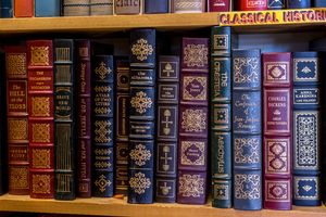 Homer. Na półce książki w różnych kolorach, w tym klasyki literatury. Brak osób.