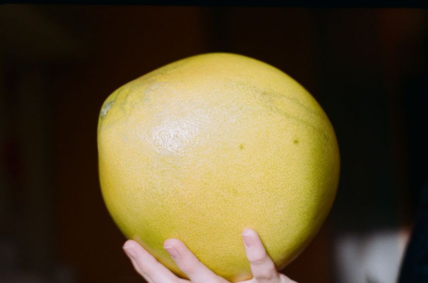 Pomelo