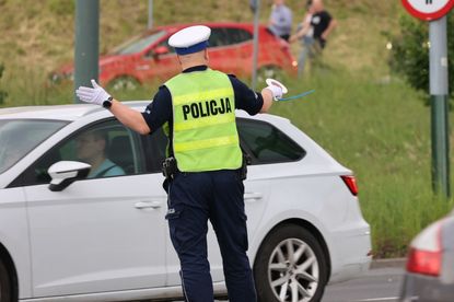 Policjant w odblaskowej kamizelce kieruje ruchem drogowym. W tle samochody i zieleń.