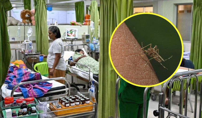 Szpital z chorymi pacjentami, w tle widoczna pielęgniarka i sprzęt medyczny. Na zdjęciu komar.