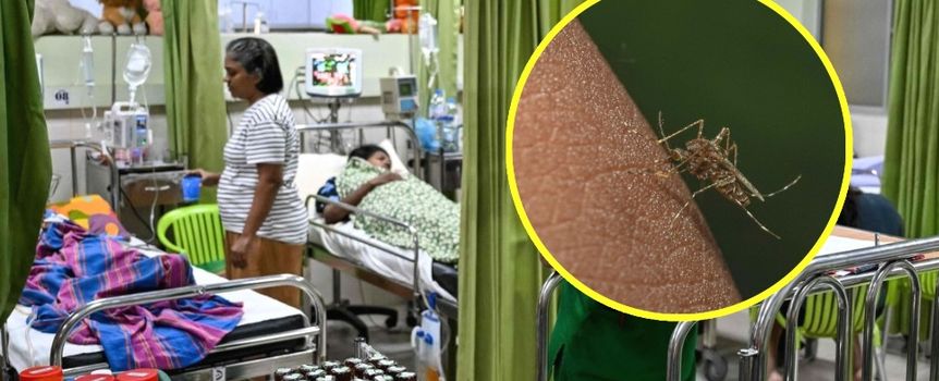 Szpital z chorymi pacjentami, w tle widoczna pielęgniarka i sprzęt medyczny. Na zdjęciu komar.
