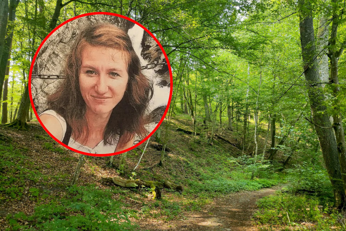 Grzybiarze zobaczyli wystającą kość. To zaginiona Jowita Zielińska? Nowe informacje