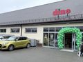 Dino na Wilanowie