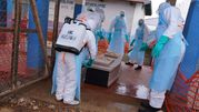 Epidemia eboli w Demokratycznej Republice Konga