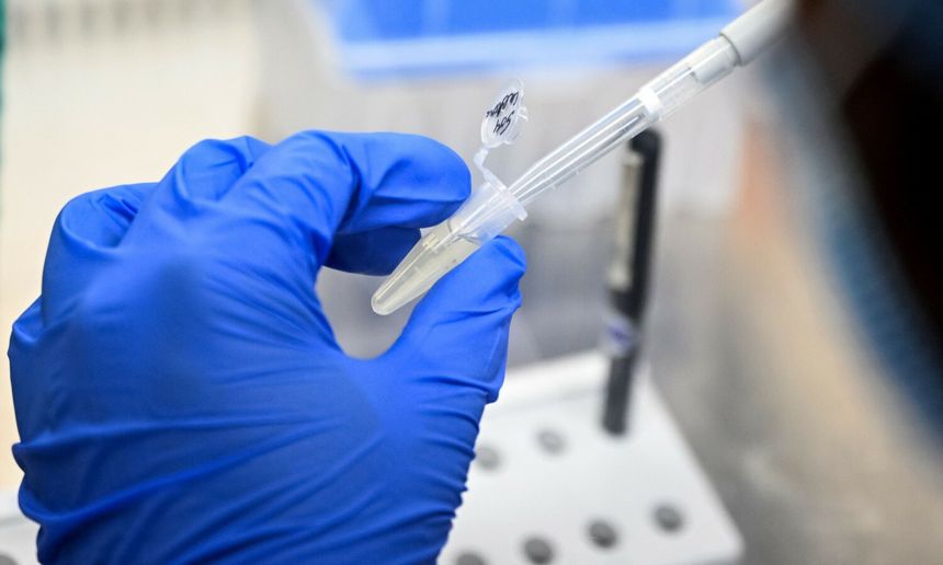 Ręka w niebieskiej rękawicy trzyma próbkę w laboratorium, w tle narzędzia laboratoryjne.