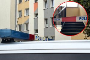Policja