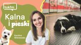 Co wolno psu podczas wakacji?