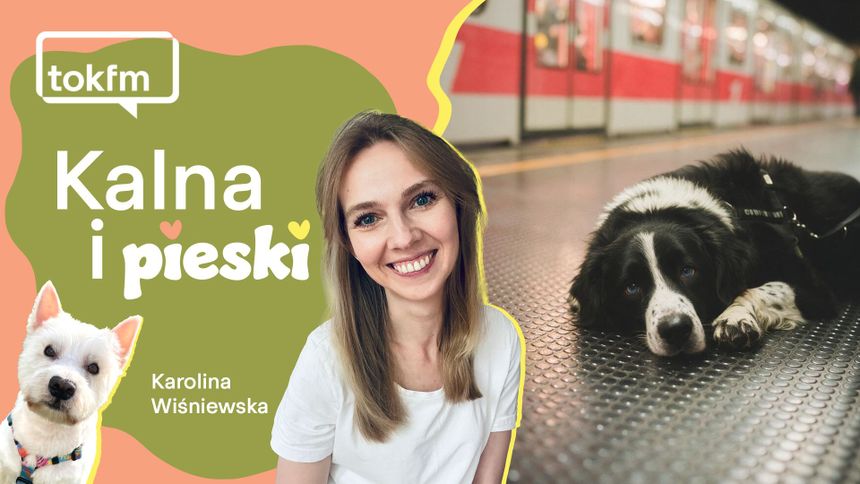 Co wolno psu podczas wakacji?