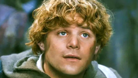 Sean Astin - amerykański aktor