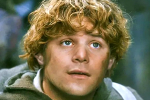 Sean Astin - amerykański aktor
