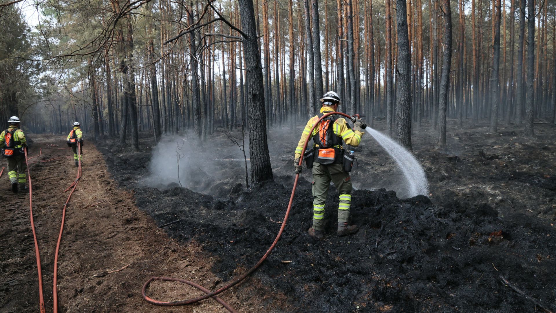 Hiszpania w ogniu. Polscy strażacy ruszają z pomocą, „odmienny sposób działania"