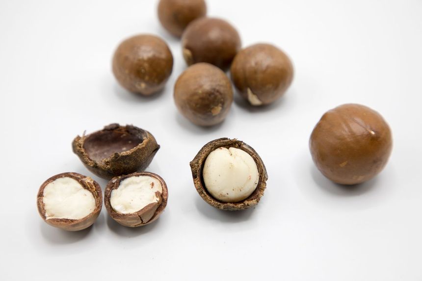 Orzechy makadamia