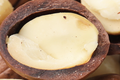 Orzechy makadamia