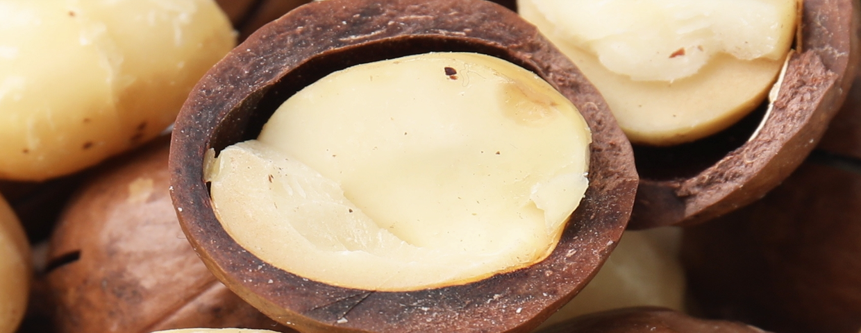 Orzechy makadamia