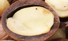 Orzechy makadamia