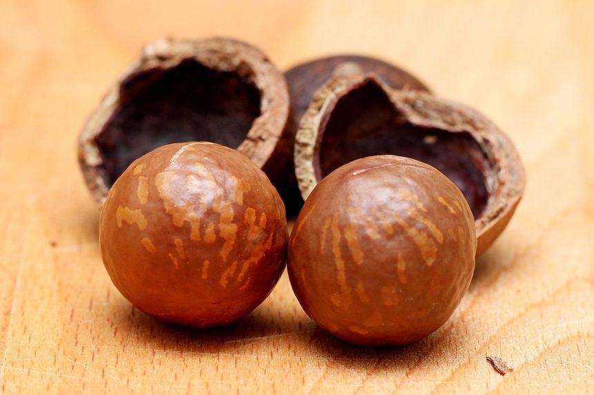 Orzechy makadamia