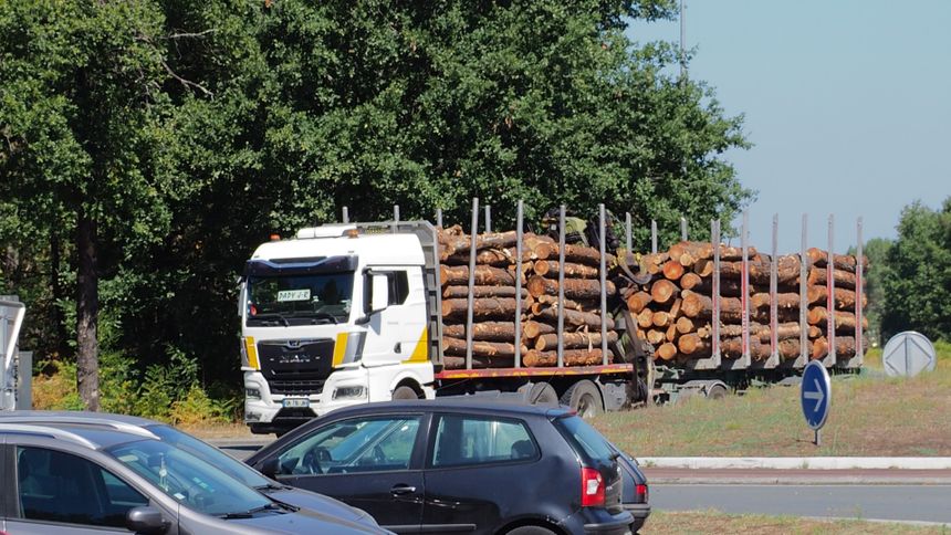 Służby walczą z pożarami