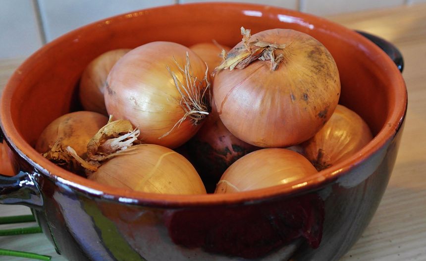 Cebula