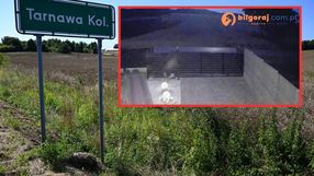 Nagranie z miejscowości Tarnawa Kolonia