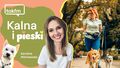 Każdy pies może mieć wobec spaceru inne oczekiwania
