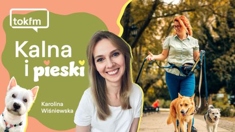 Każdy pies może mieć wobec spaceru inne oczekiwania