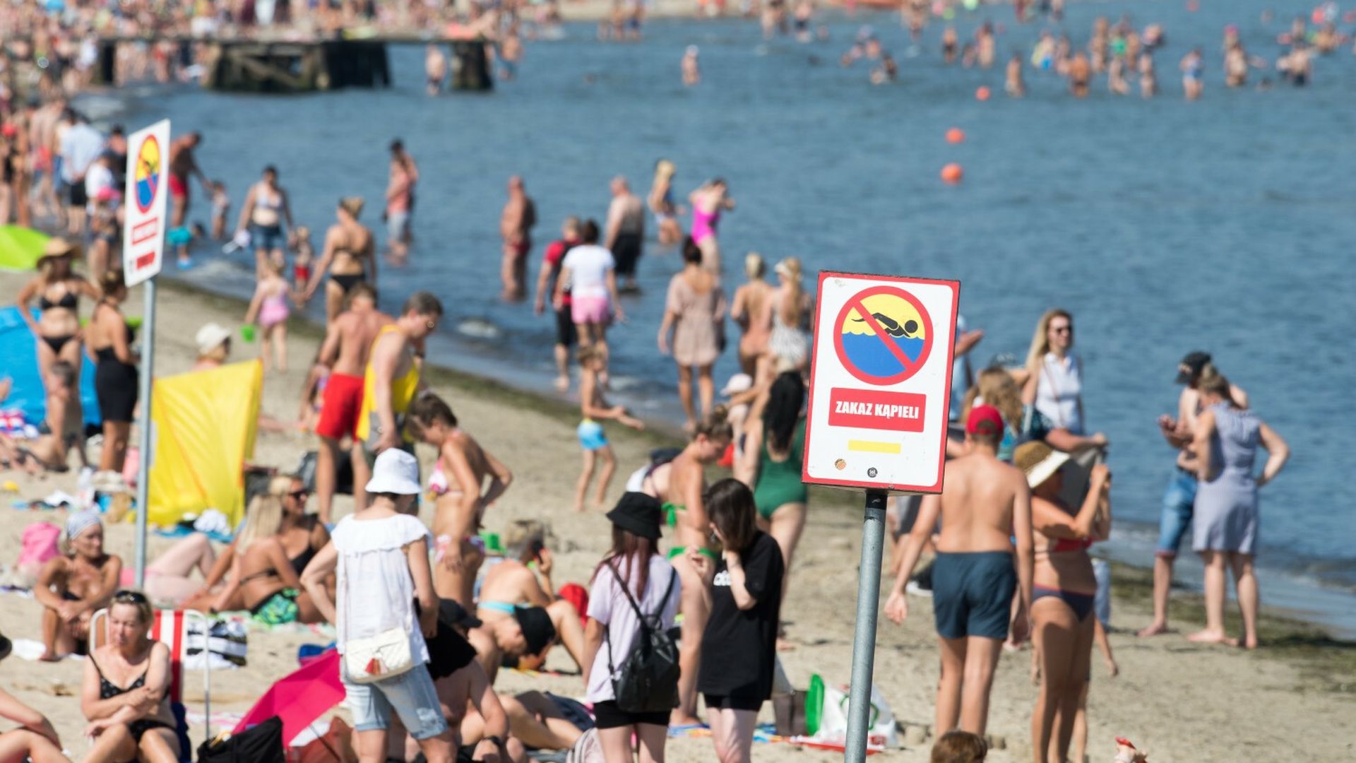 Zgony po zakażeniu Vibrio w Niemczech. Co z polskim Bałtykiem? GIS o ryzyku zakażeń