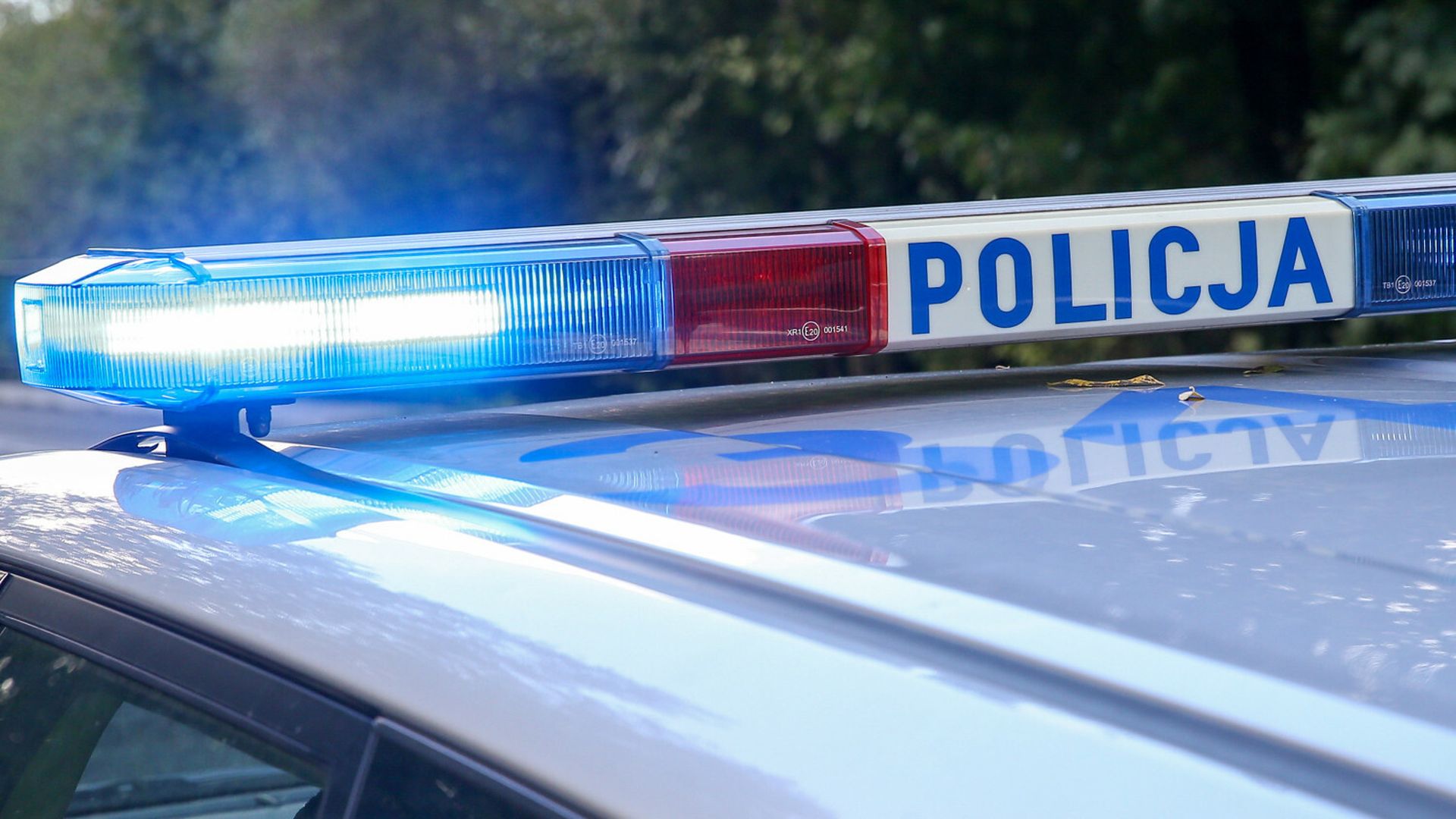 Ludzkie szczątki znalezione w Ciechanowie. Śledczy podali nowe informacje
