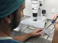 Osoba w zielonym uniformie laboratoryjnym obsługuje pipetę w laboratorium. W tle mikroskop.