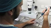 Osoba w zielonym uniformie laboratoryjnym obsługuje pipetę w laboratorium. W tle mikroskop.
