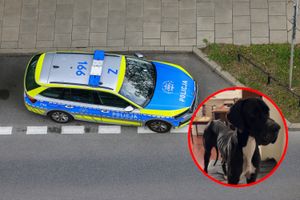 Policja