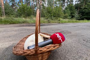 Sezon na grzyby