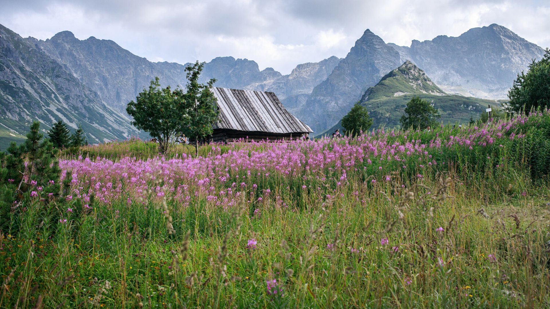 Tłumy ruszyły w Tatry. Ten widok zapiera dech w piersiach