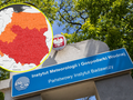 Jak powstają?