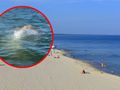 Plaża w Międzyzdrojach. Wieloryb