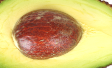 Awokado