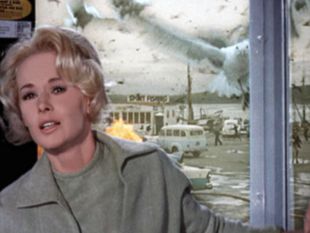 Tippi Hedren - Ptaki - kadr z filmu Alfreda Hitchcocka