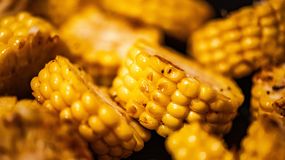 Zdjęcie grillowanej kukurydzy, plastry o intensywnym żółtym kolorze, soczyste i apetyczne.
