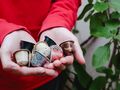Osoba w czerwonej bluzie trzyma w dłoniach różnorodne kapsułki do kawy obok zielonych liści.