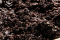 Tapenade z czarnych oliwek