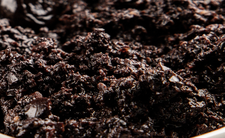 Tapenade z czarnych oliwek