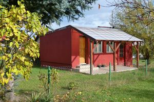 Dom w ogrodzie, pomalowany na czerwono, otoczony zielenią i drzewami. Słoneczne, jasne niebo.