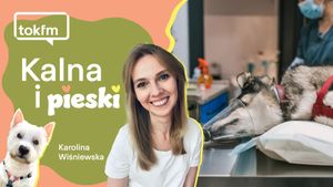Czy psy chorują na choroby cywilizacyjne?