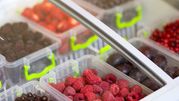 Witryna z zamrożonymi owocami: maliny, truskawki, jeżyny w przezroczystych pojemnikach.