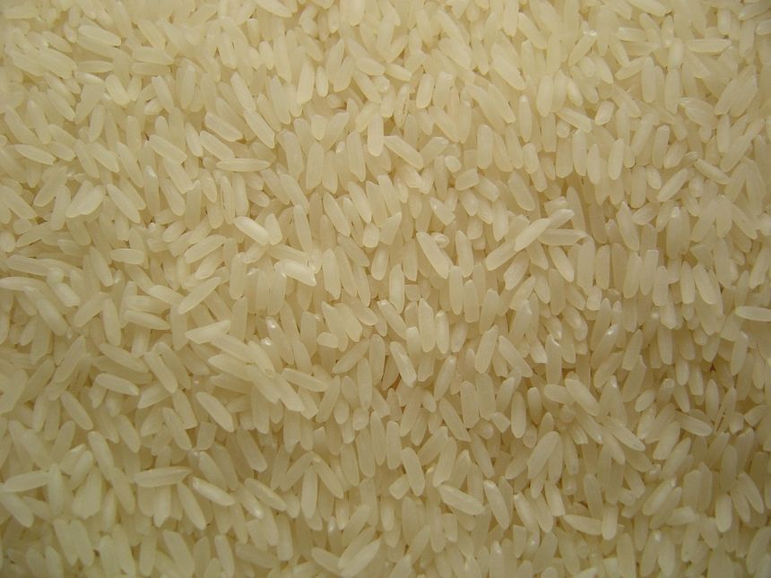 Ryż