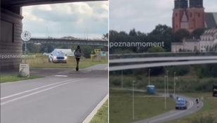 Pościg
