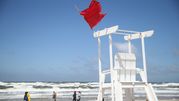 Czerwona flaga na plaży nad Bałtykiem