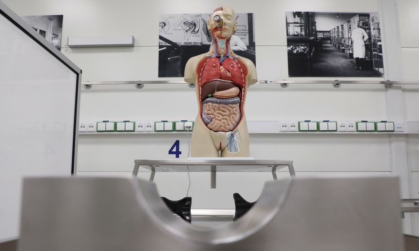 Model anatomiczny człowieka na stole w laboratorium, w tle białe ściany z gniazdkami elektrycznymi.