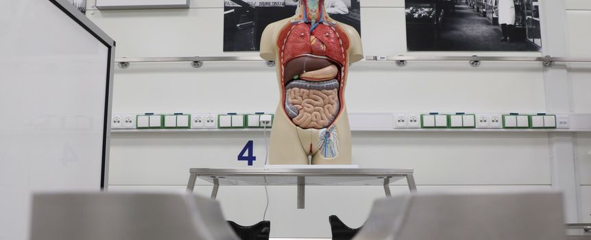 Model anatomiczny człowieka na stole w laboratorium, w tle białe ściany z gniazdkami elektrycznymi.