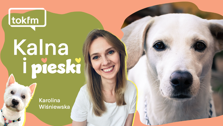 Nowy odcinek podcastu 