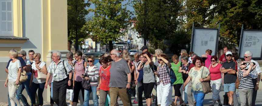Grupa osób spacerujących po ulicy, w tle drzewa i budynki. Słoneczna pogoda.